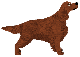 Cansas' Another Cup Of Coffee — “Navy”