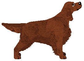 Cansas' Hotel Ceiling — “Huxley”