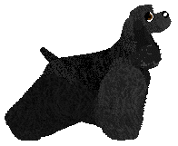 Economic Times at Rosestone — “Drew”