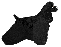 Economic Times at Rosestone — “Drew”