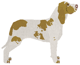 Masanga Say the word — “Dasher”