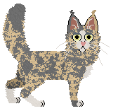 Fauvelle's Touch of Whimsy — “Whimsy”