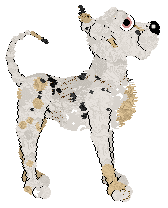 Funfetti/Amenity's Ice and Cosmic Floats at Tanglewood — “Drift”