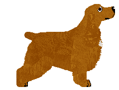 Deithwen Have A Great Flight — “Morris”