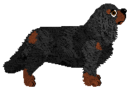 Pepperstock Sugar and Spice — “Tootsie”