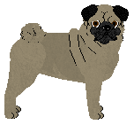 Indigo Couleur Café — “Mocha”