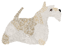 Cansas' OLD FITZGERALD — “Alastair”