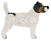 Cansas' Opie Taylor — “Shamrock”