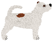 Cansas' Amat Victoria Curam — “Vicky”