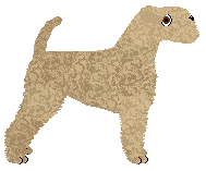 Cansas' Now We Are Free — “Honey”