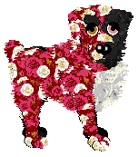 Tangle's Climbing Roses — “Rosie”