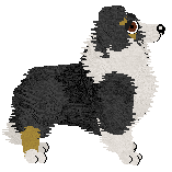 Geriatrix Small Or Far Away? — “Zucchini”