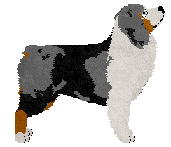 Downpour Between Two Tides — “Jonty”