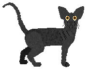 Fauvelle's Quoth the Raven — “Nevermore”