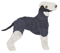 Eli's Most Serene Augustus — “Charlemagne”