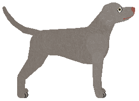 Riflery Sausage Fest — “Bratwurst”