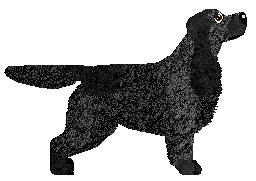 Profile image of Dalheaf Sloe and Steady