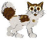 Sungraze's Pawnshop at Wild Road — “Sanglaan”