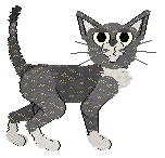 Calluna's The Most Beautiful at Wild Road — “Nefertari”