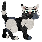 Amphigory's Wine Farm at Wild Road — “Winloth”