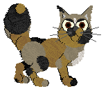 Mazzew's Cheering For You at Wild Road — “Bonny”