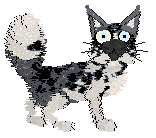 HK's Master Namer at Wild Road — “Elodin”