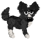 Sungraze's Back To The Farm at Wild Road — “Back To The Farm”