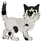 Calluna's Antipodes in Shoes — “Karai”