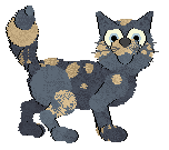 Calluna's Fancy Fricasse — “Medici”