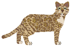 Blizzard Reincarnation — “Cayenne”