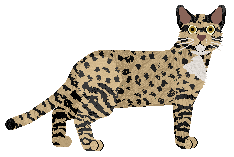 Blizzard Follow Your Legend — “Fatima”