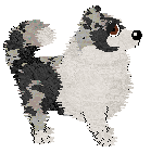PD's Shining Silver — “Silver”