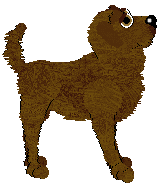 Remington Sweet Christmas Treat — “Toffifee”