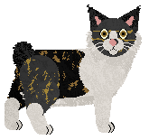 Blizzard Faithful One — “Fist”