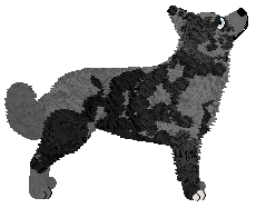 Wait For It' CRAZY LITTLE PSYCHO — “Psycho”