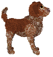 Alohomora's Best Birthday Ever — “Candle”