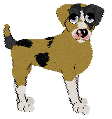 Sz's Layered In Luxury at Chachke — “Tiramisu”