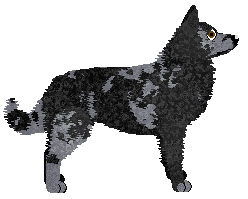 Charcoal and Mist — “Kutya”