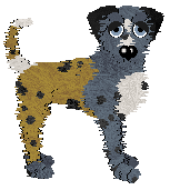 Bohème Viva la Visage — “Creed”