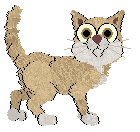 Medusa Take a Chance — “Dasher”