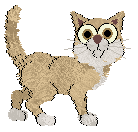 Medusa Take a Chance — “Dasher”