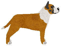 Blizzard CLARESSA SHIELDS — “Claire”