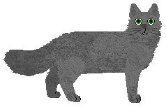 Mirror Blue's Say It Again — “Danner”