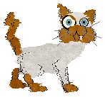 Spektor's Stop Running — “Kerry”