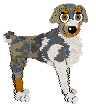 Wild Road's Connection To Water — “Nechtan”