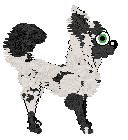 Sungraze's Koi Fish at Wild Road — “Koy”