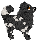 Wild Road's Suzuki — “Suki”