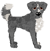 Sz's Daughter of the Moon — “Mahdokht”