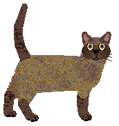 Rosestone's Constant Hesitation — “Daisy”