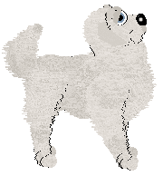 Sz/Aura's Metamorphosis — “Cocoon”